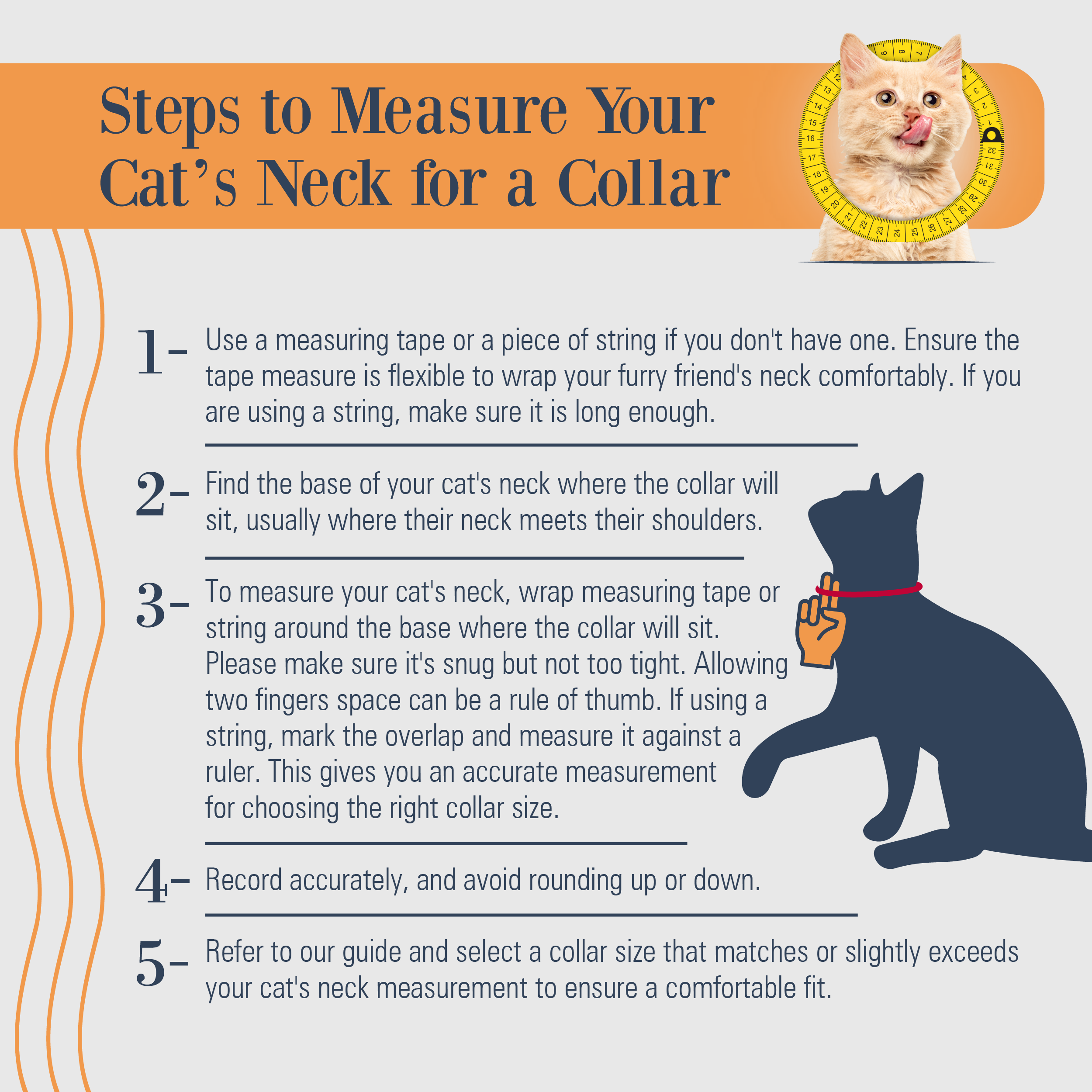 Filbert Leather Cat Collar, Reflective Cat Collar with Bell - Picture 31 of 61