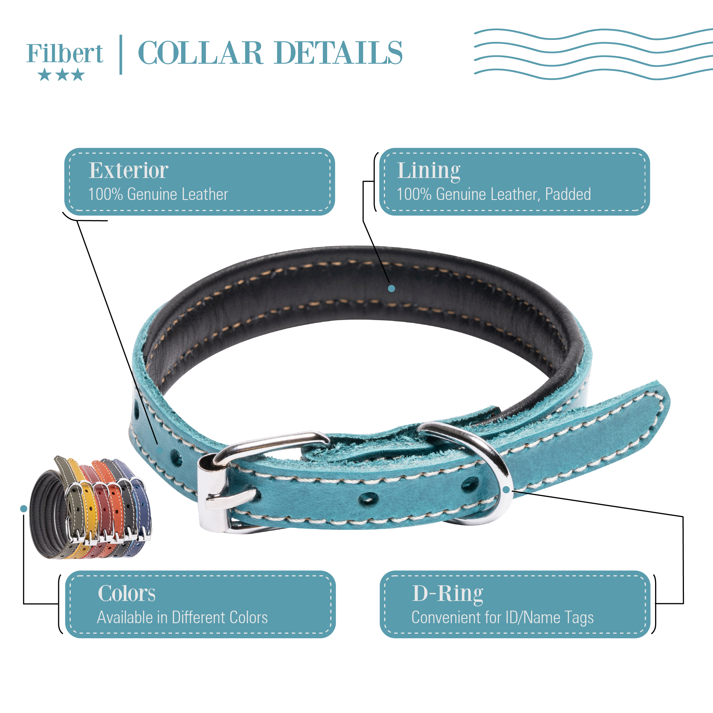 Filbert Padded Leather Dog Collar for Large Dogs, Medium & Small Dogs