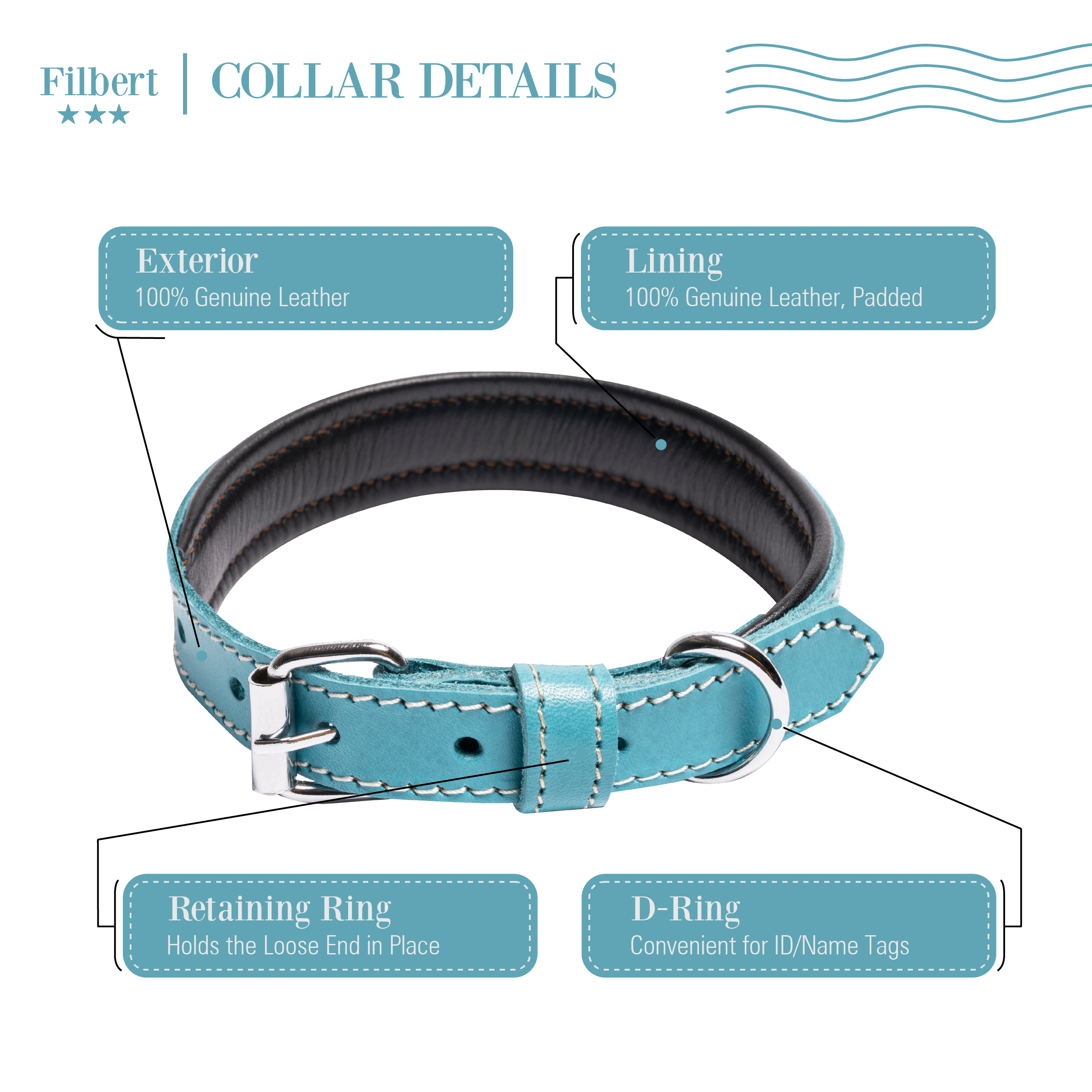 Filbert Padded Leather Dog Collar for Large Dogs, Medium & Small Dogs