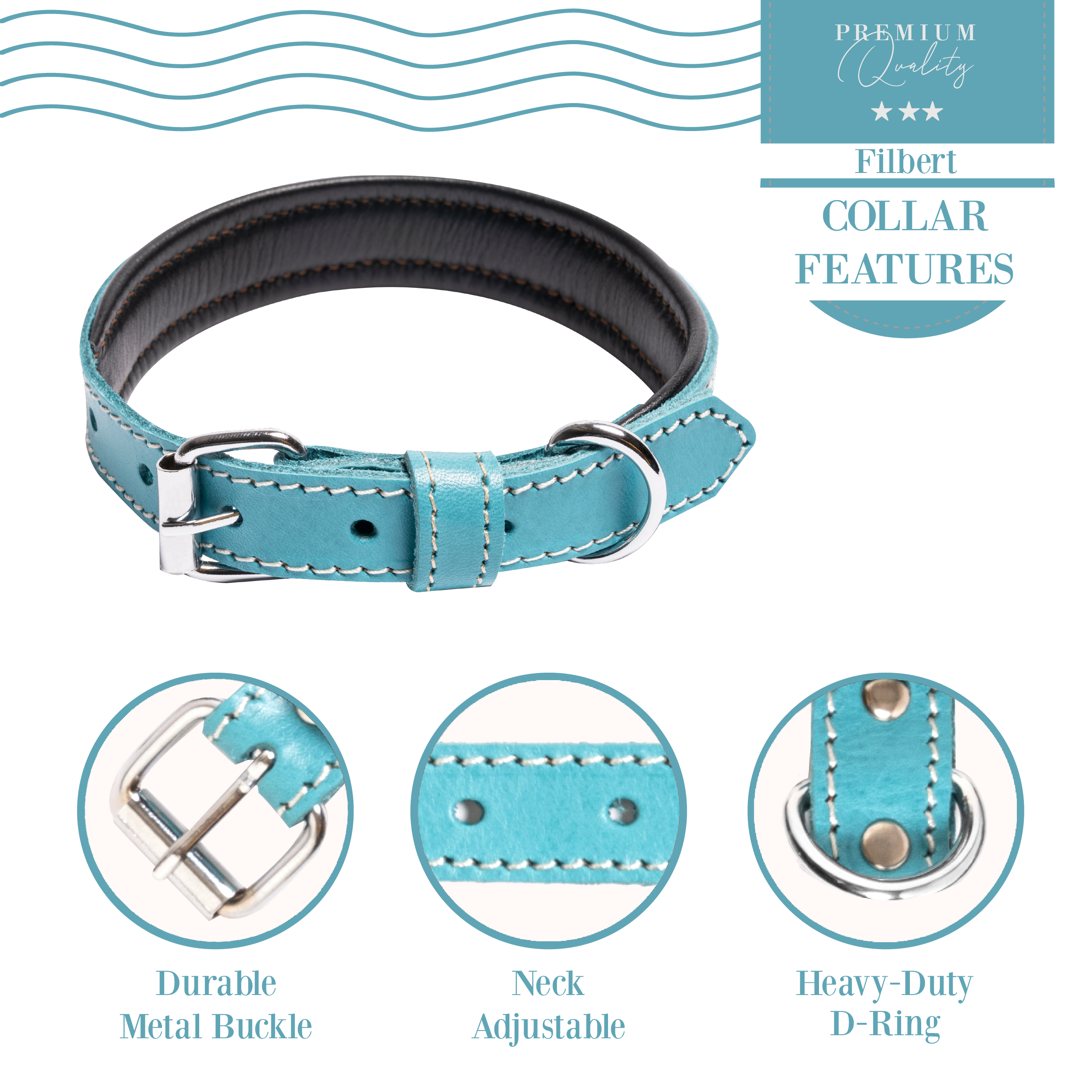 Filbert Padded Leather Dog Collar for Large Dogs, Medium & Small Dogs