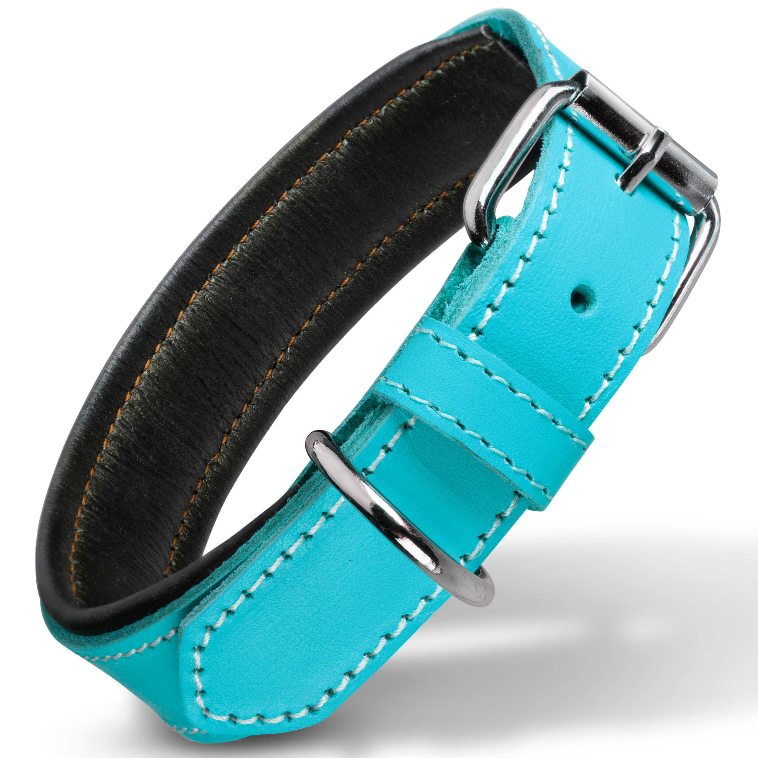 Filbert Padded Leather Dog Collar for Large Dogs, Medium & Small Dogs