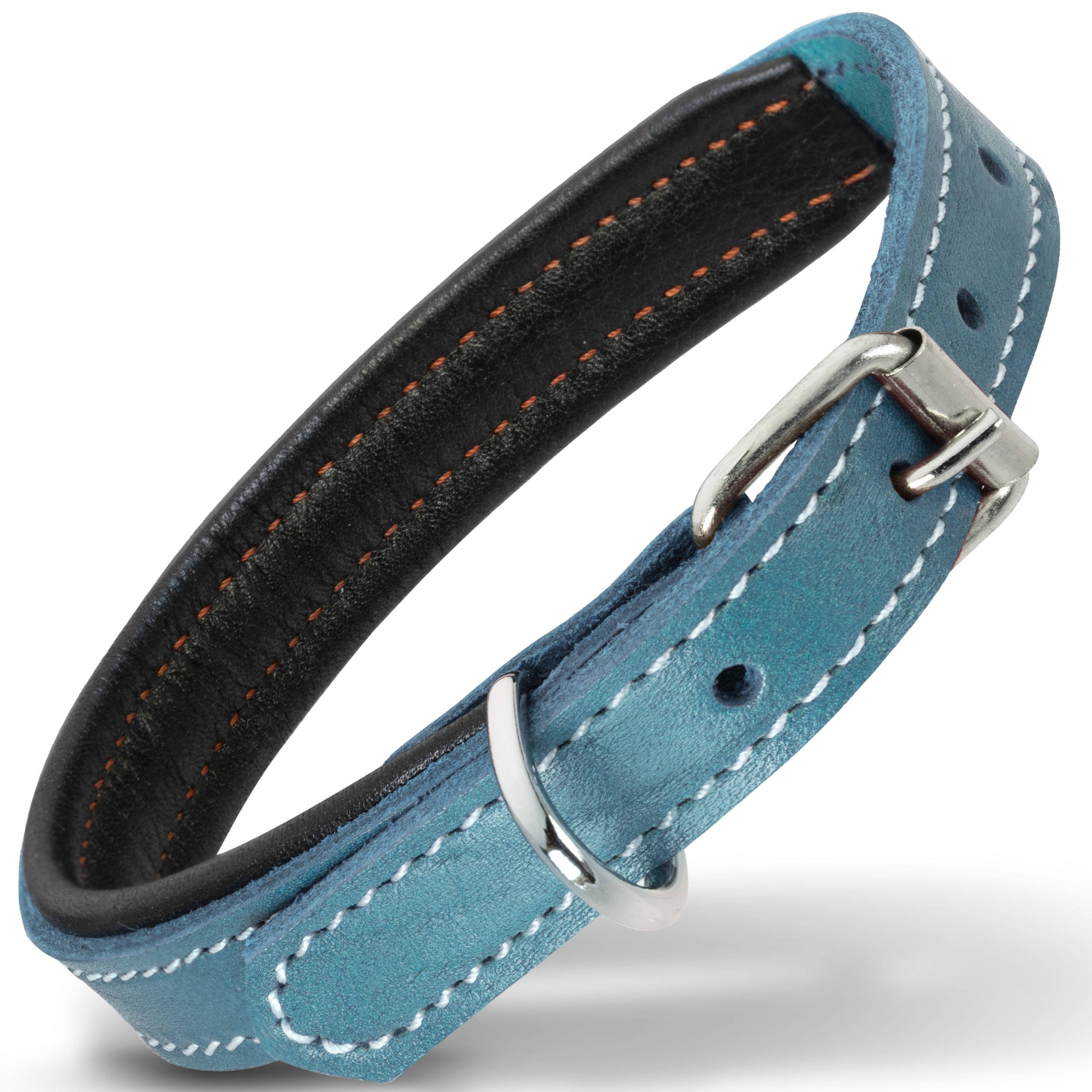Filbert Padded Leather Dog Collar for Large Dogs, Medium & Small Dogs